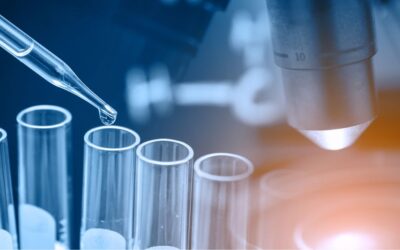 The Investigator’s Brochure (IB): A Comprehensive Guide